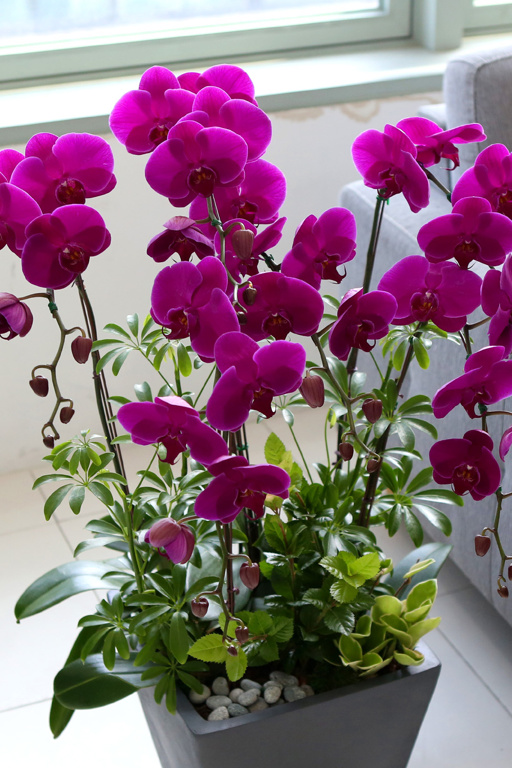  Ƹٿ ϼ  -  Ѻ ũȣ    ɹ