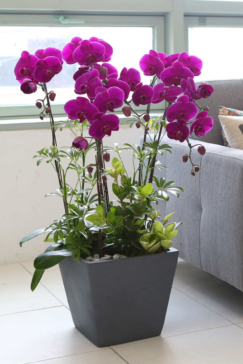  Ƹٿ ϼ  -  Ѻ ũȣ    ɹ