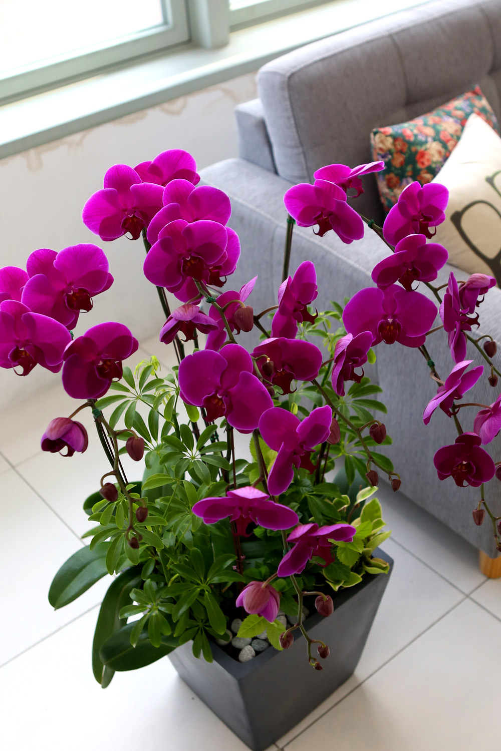  Ƹٿ ϼ  -  Ѻ ũȣ    ɹ