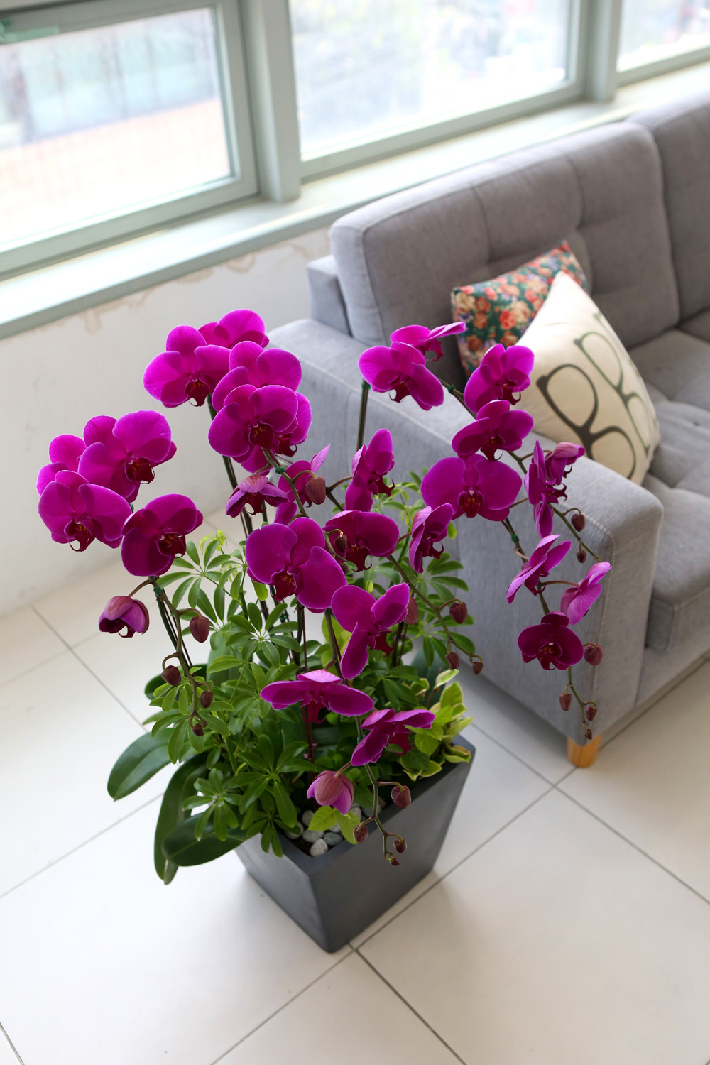  Ƹٿ ϼ  -  Ѻ ũȣ    ɹ