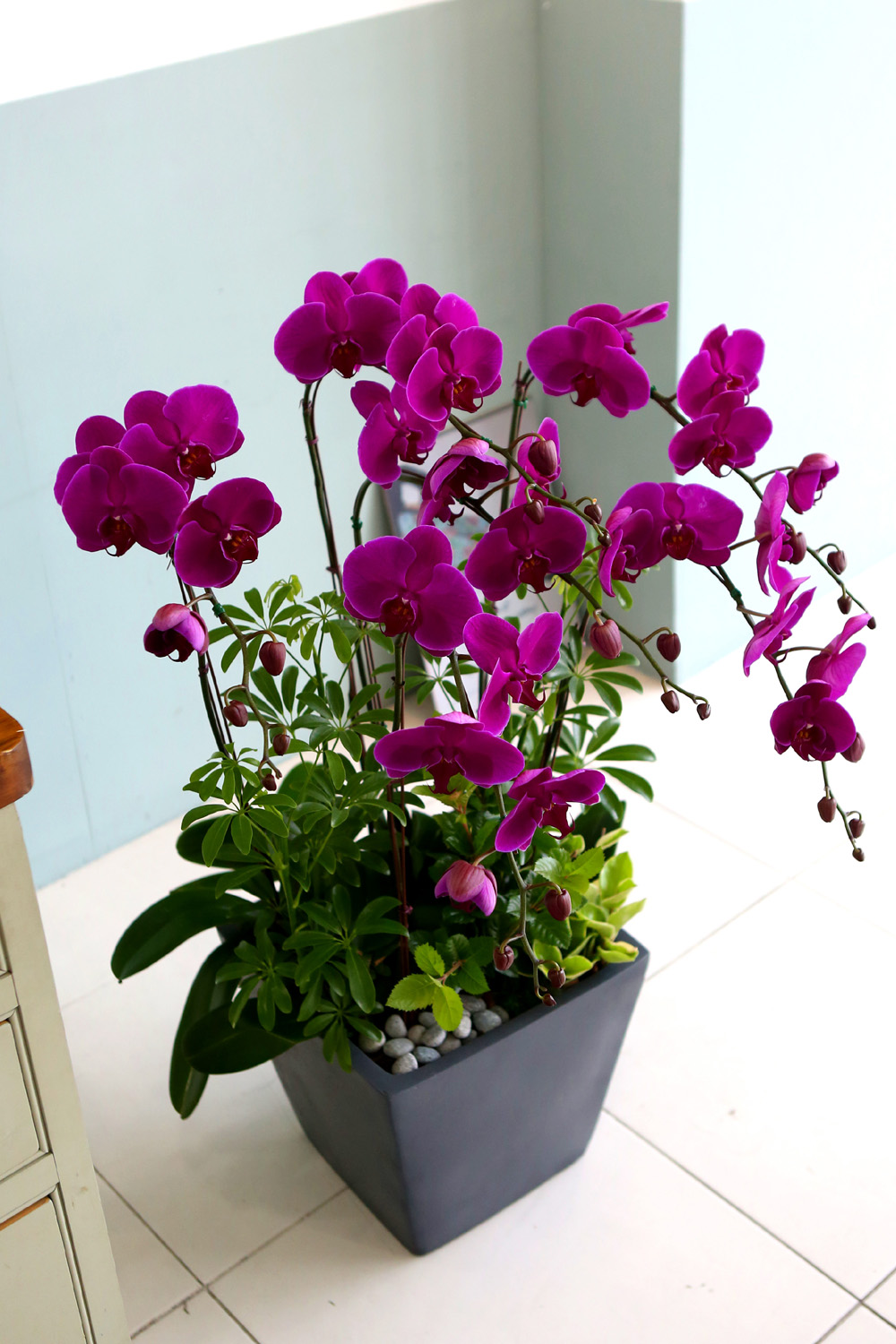  Ƹٿ ϼ  -  Ѻ ũȣ    ɹ