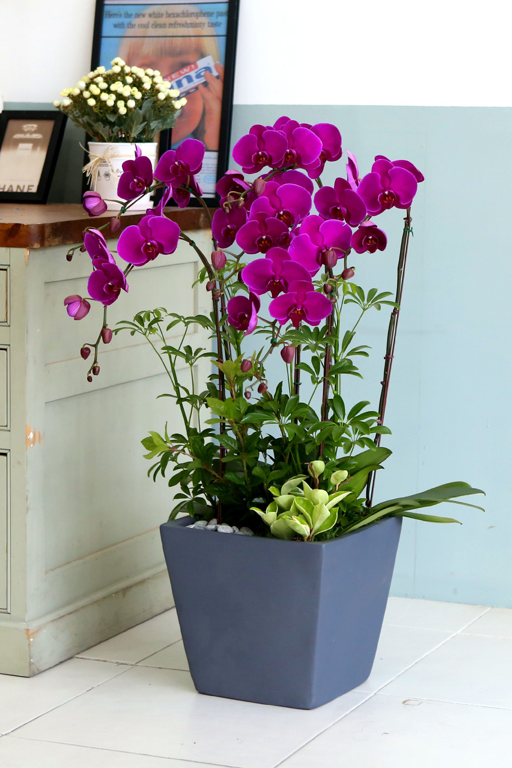  Ƹٿ ϼ  -  Ѻ ũȣ    ɹ