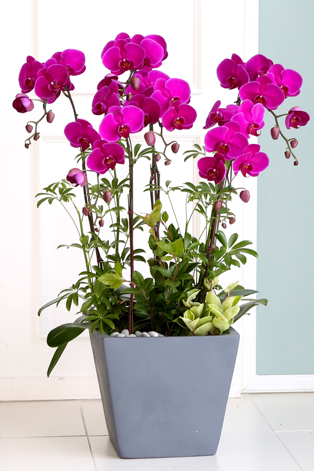  Ƹٿ ϼ  -  Ѻ ũȣ    ɹ