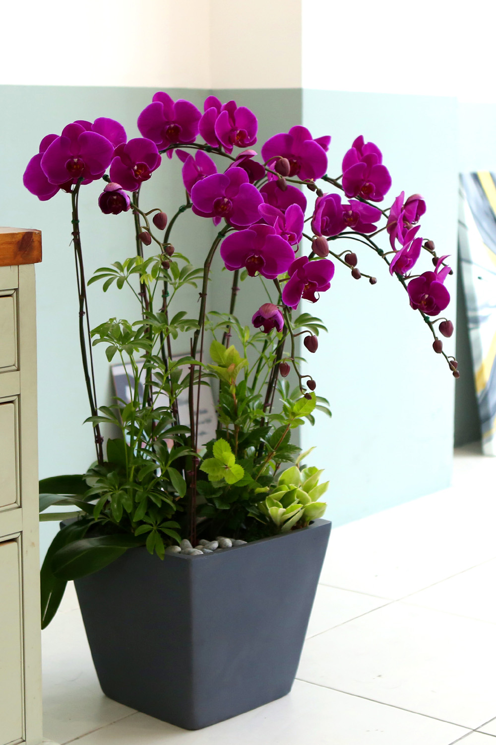  Ƹٿ ϼ  -  Ѻ ũȣ    ɹ