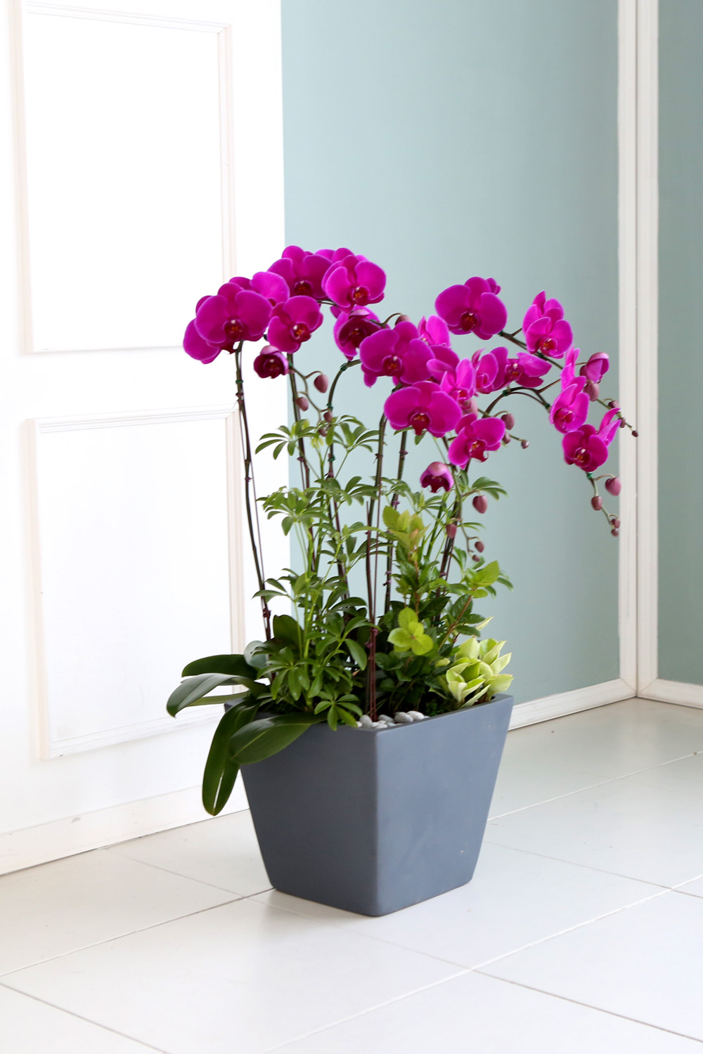  Ƹٿ ϼ  -  Ѻ ũȣ    ɹ