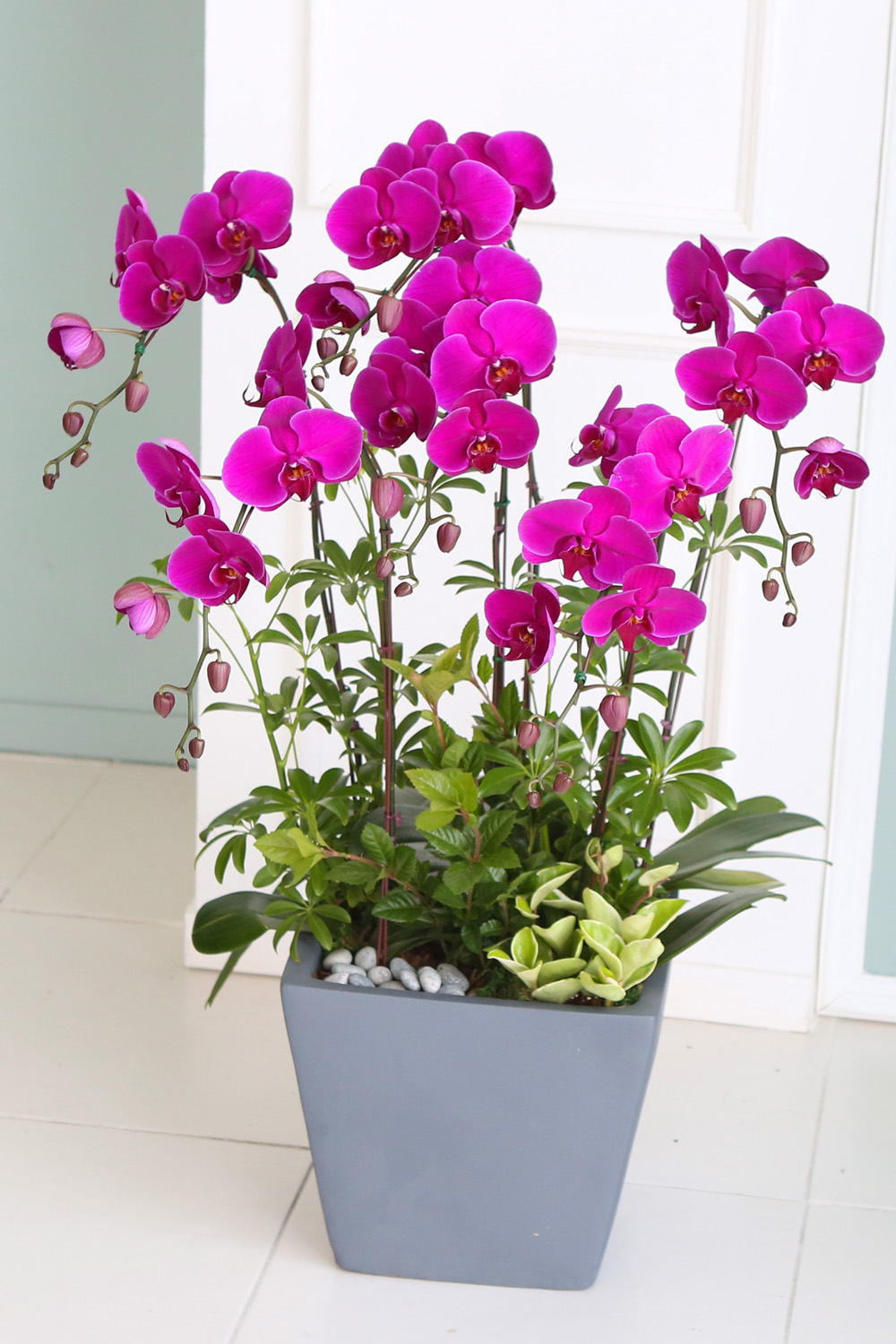  Ƹٿ ϼ  -  Ѻ ũȣ    ɹ