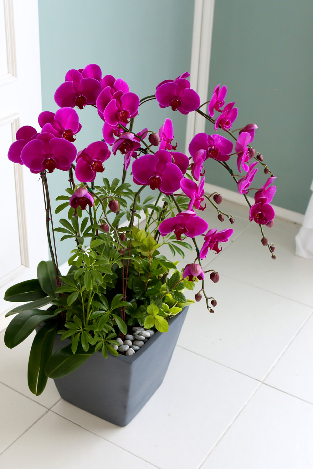  Ƹٿ ϼ  -  Ѻ ũȣ    ɹ