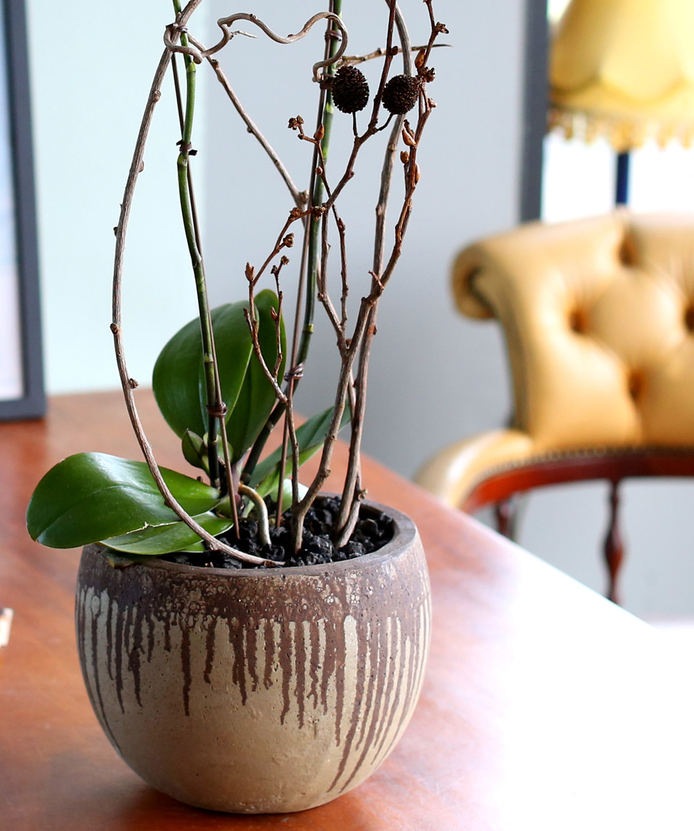 ²ÉÀÌ ¾Æ¸§´Ù¿î ¼¾ç¶õ - ÁÖȲ»öÀÇ È£Á¢¶õÀº Æ÷±ÙÇÏ°í µû¶æÇØ