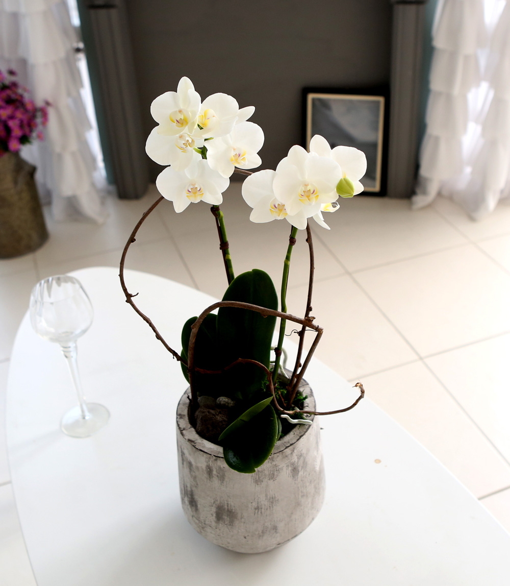  Ƹٿ ϼ  - ̴Ϲ ޽ Ƹ ȣ  ɹ