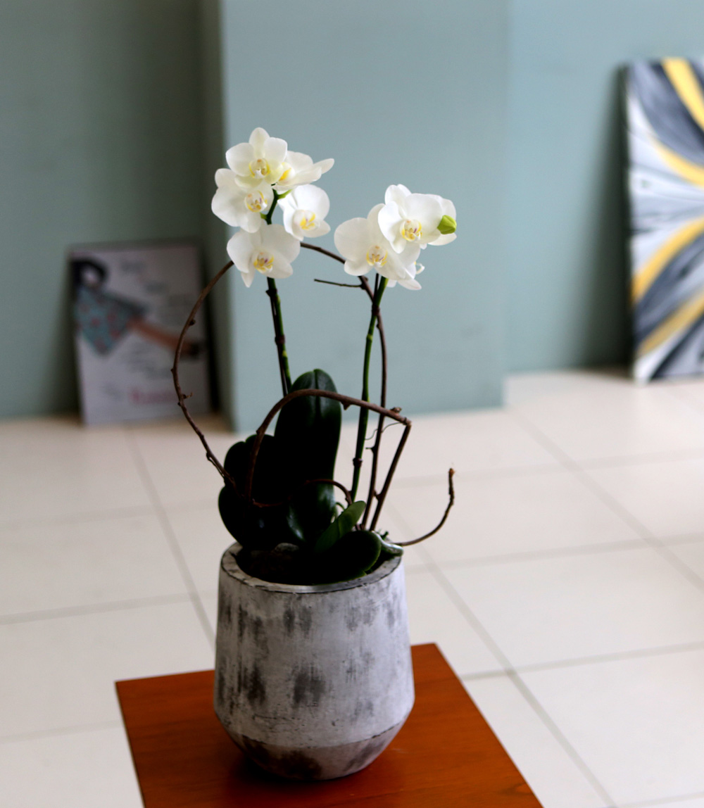  Ƹٿ ϼ  - ̴Ϲ ޽ Ƹ ȣ  ɹ