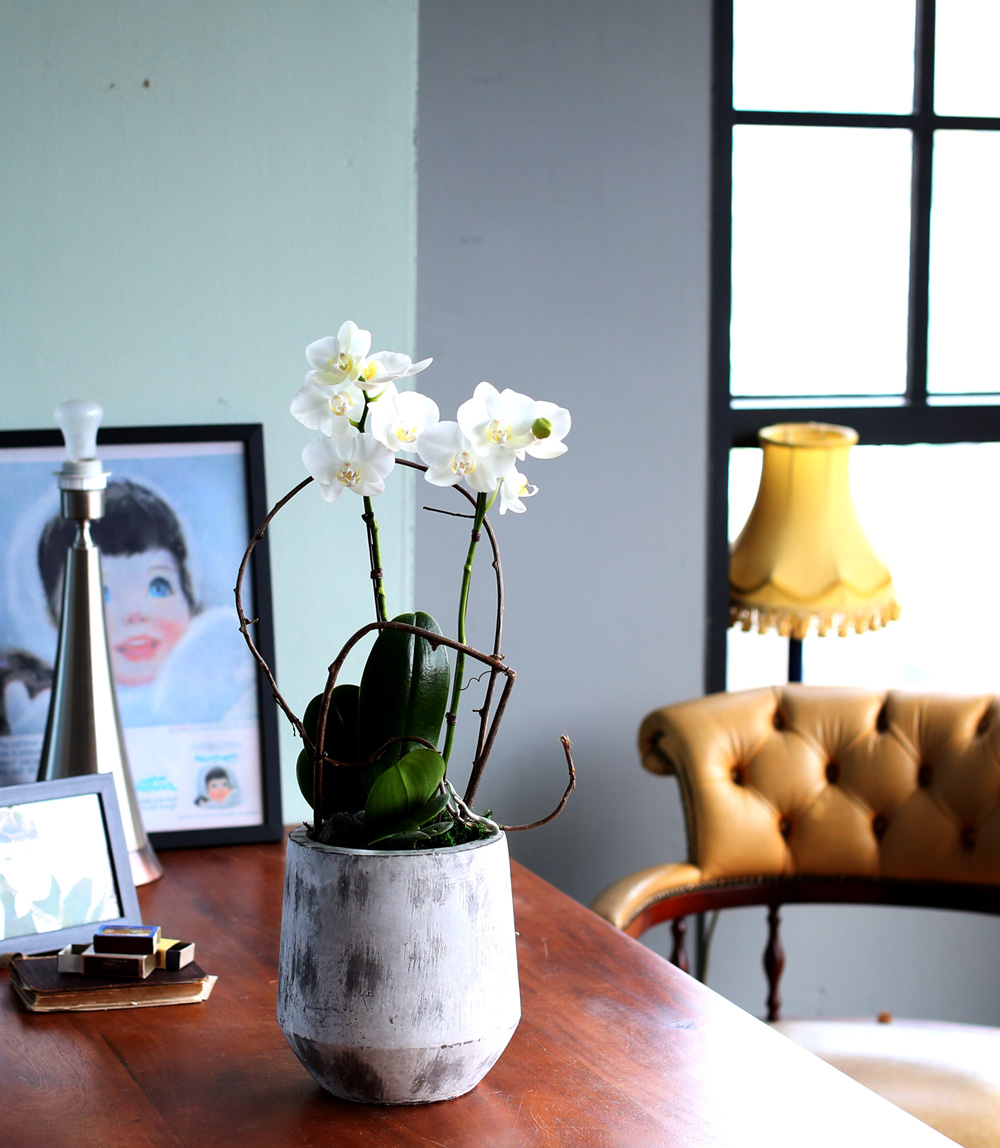  Ƹٿ ϼ  - ̴Ϲ ޽ Ƹ ȣ  ɹ