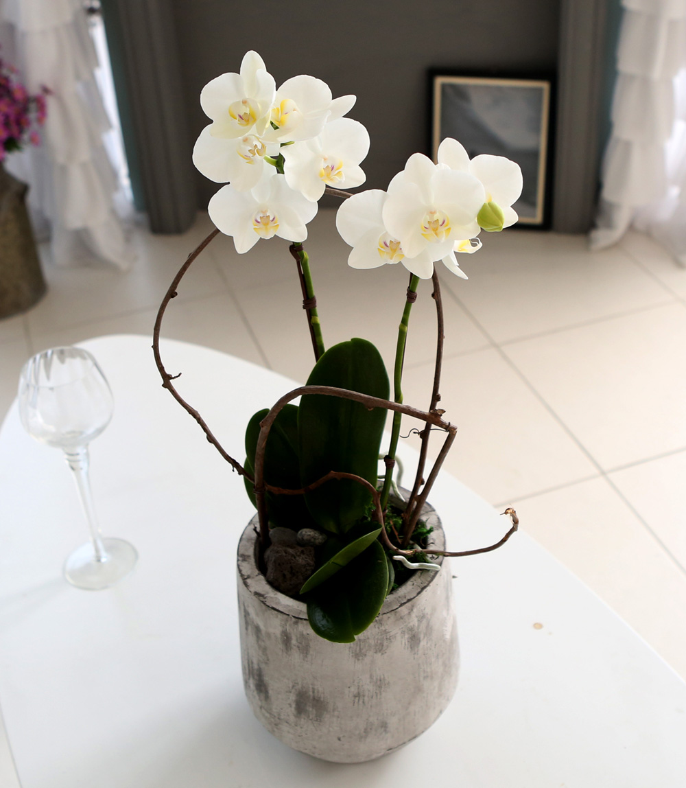  Ƹٿ ϼ  - ̴Ϲ ޽ Ƹ ȣ  ɹ