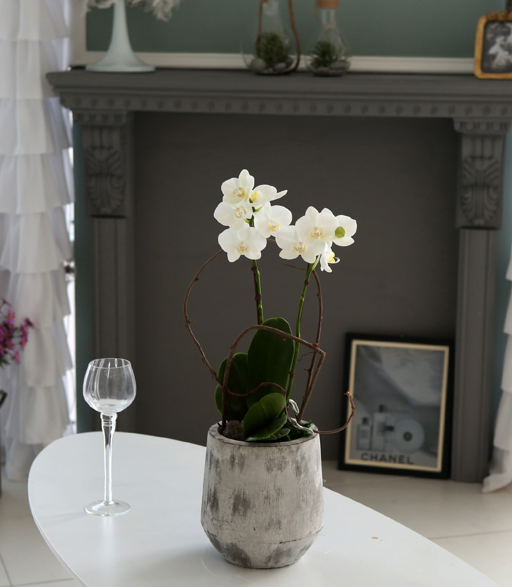  Ƹٿ ϼ  - ̴Ϲ ޽ Ƹ ȣ  ɹ