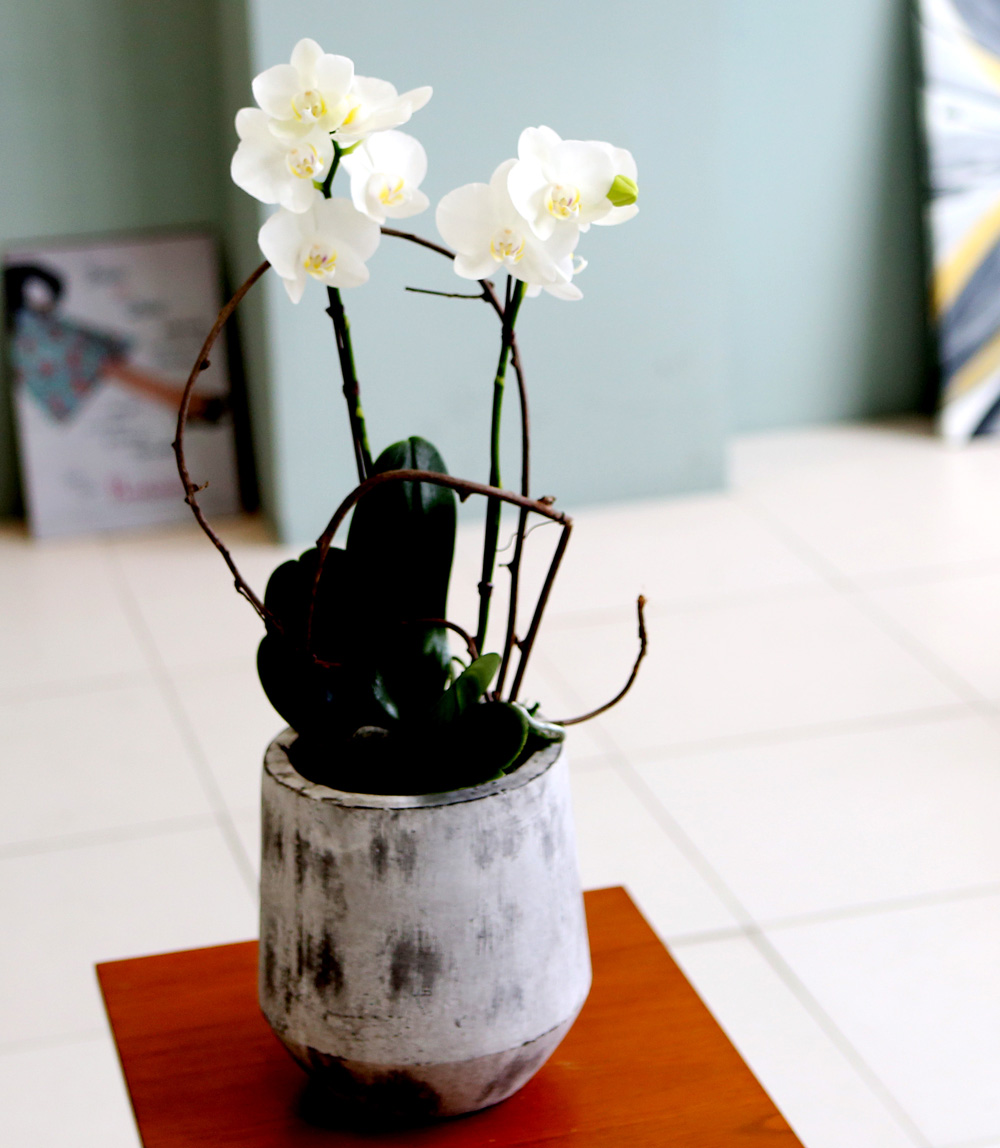  Ƹٿ ϼ  - ̴Ϲ ޽ Ƹ ȣ  ɹ