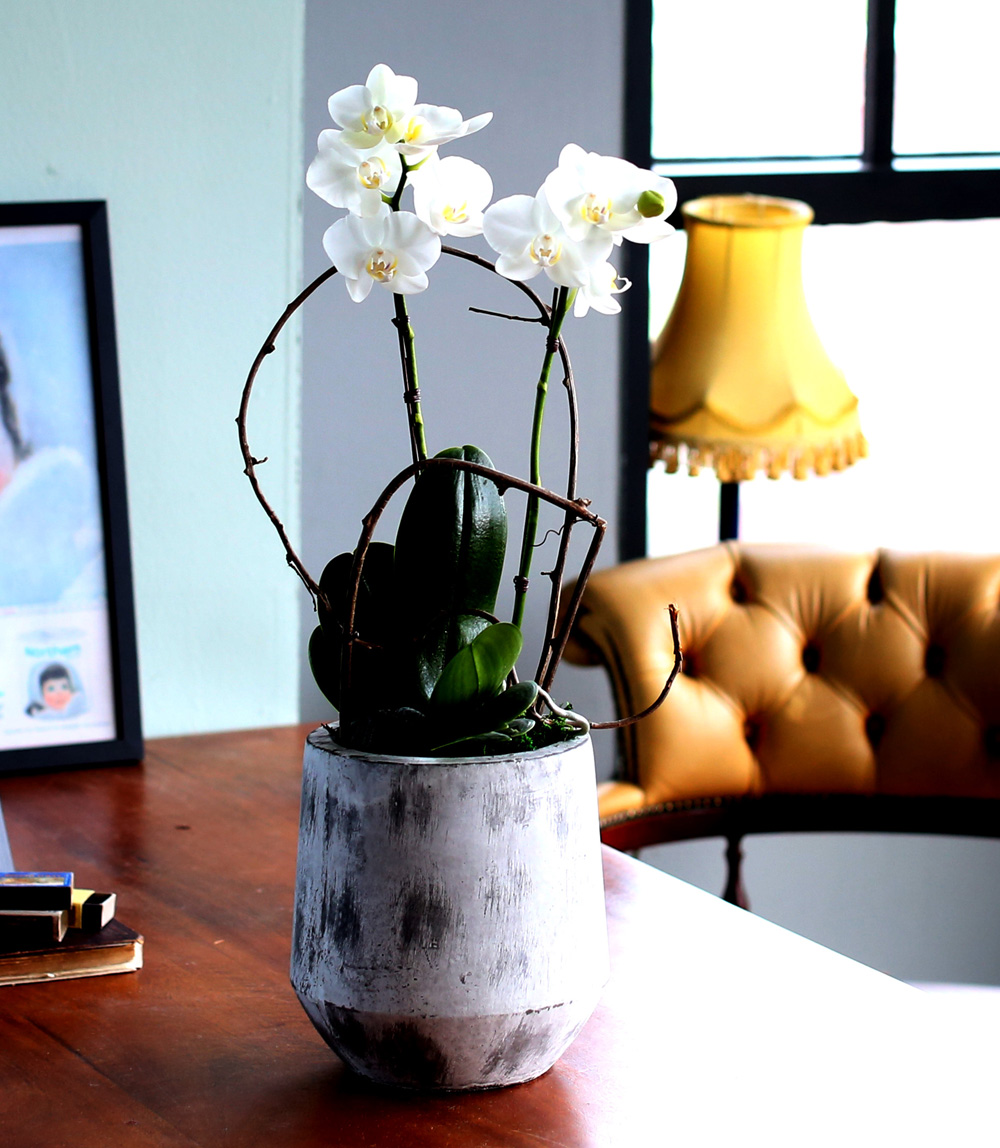  Ƹٿ ϼ  - ̴Ϲ ޽ Ƹ ȣ  ɹ