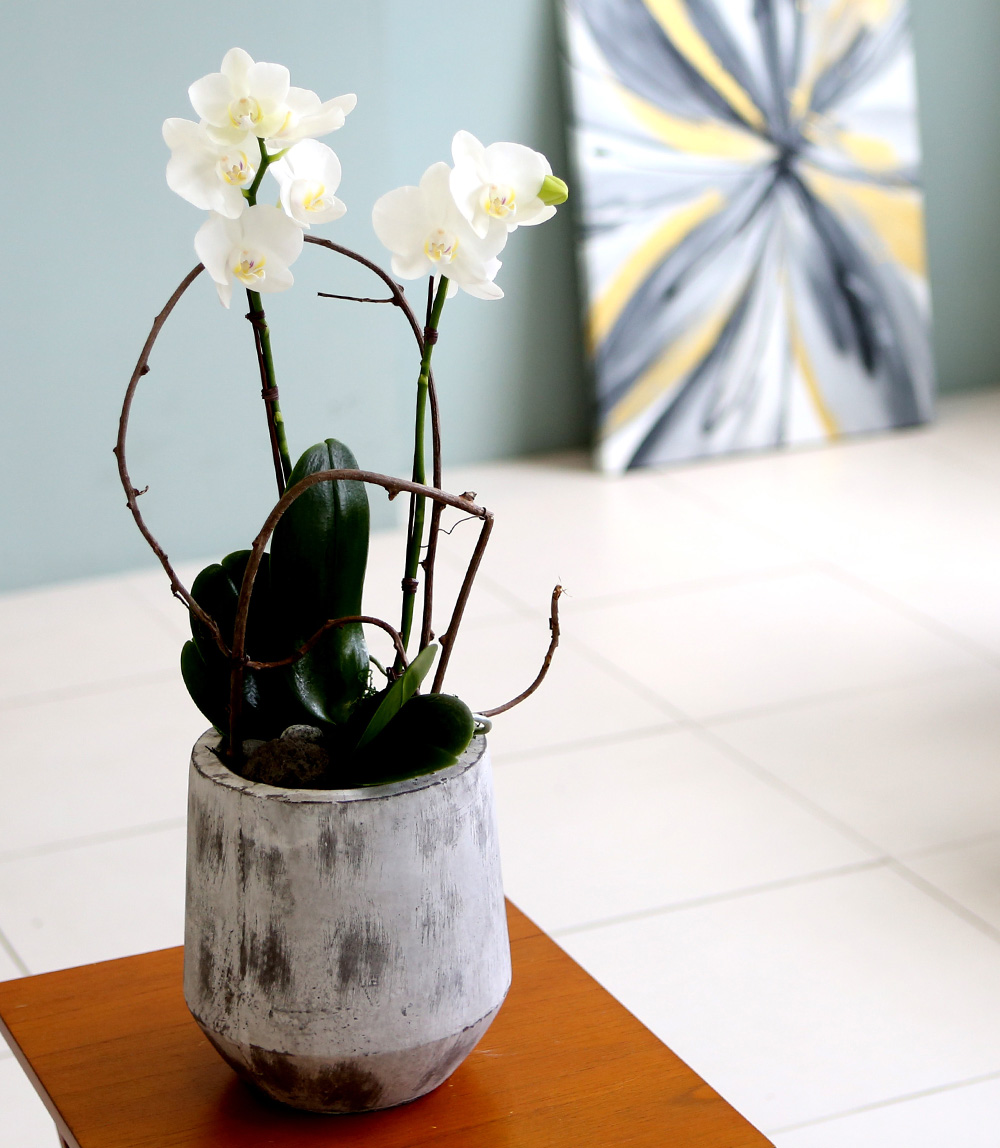  Ƹٿ ϼ  - ̴Ϲ ޽ Ƹ ȣ  ɹ