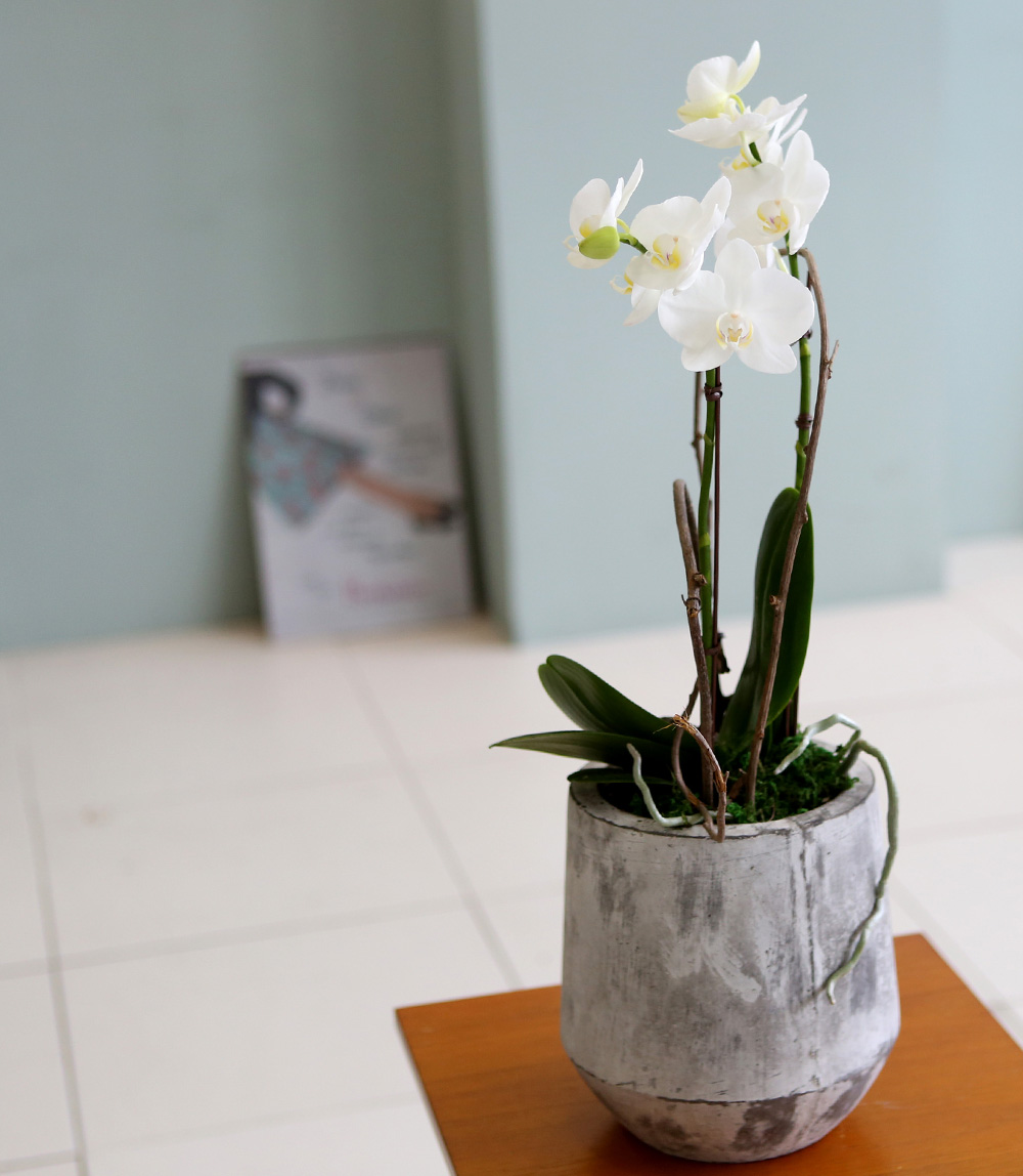  Ƹٿ ϼ  - ̴Ϲ ޽ Ƹ ȣ  ɹ