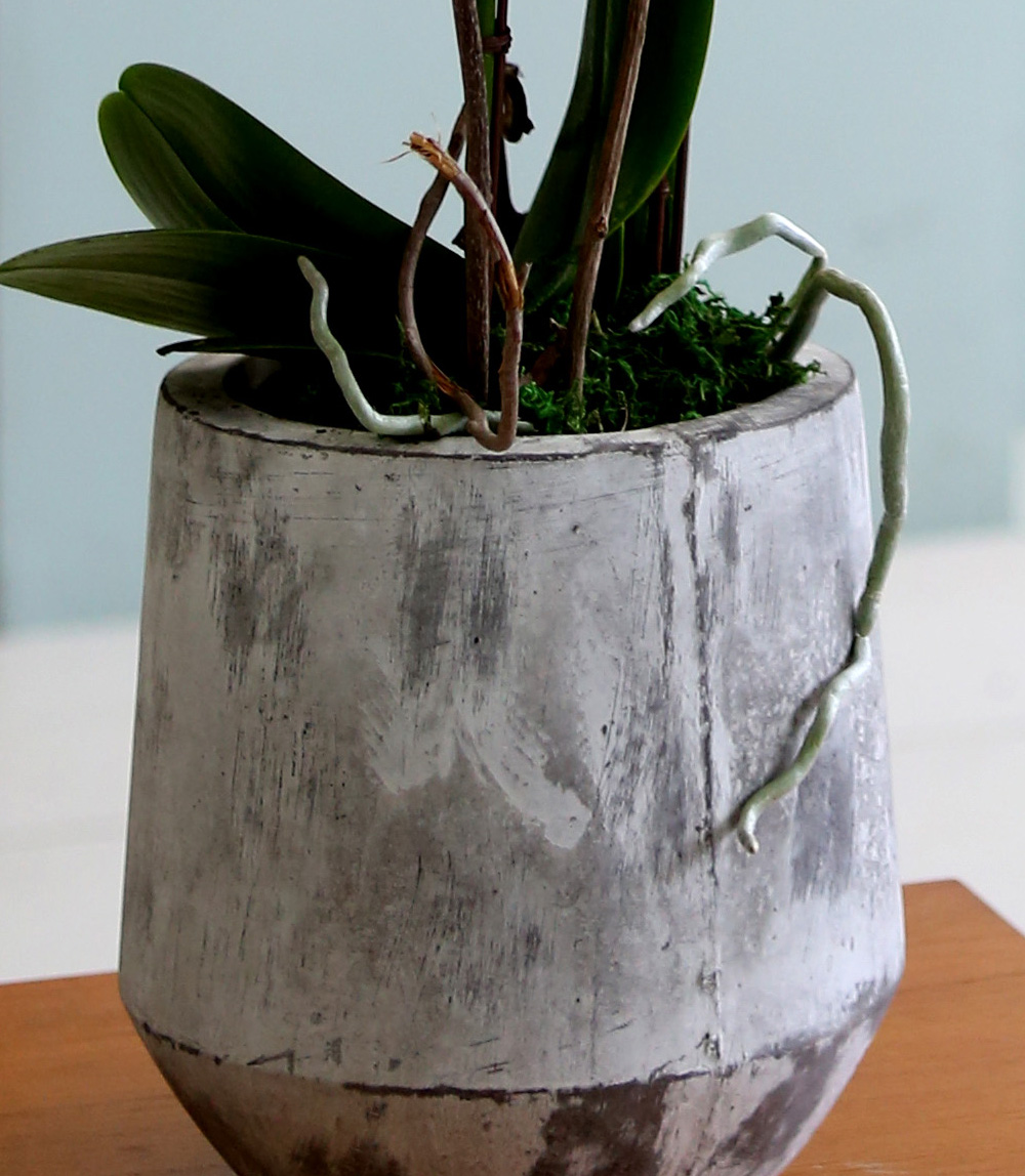  Ƹٿ ϼ  - ̴Ϲ ޽ Ƹ ȣ  ɹ