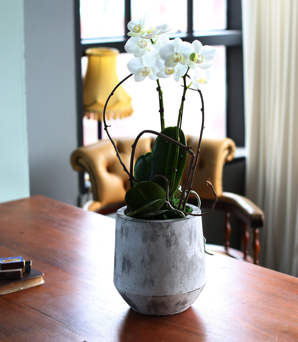  Ƹٿ ϼ  - ̴Ϲ ޽ Ƹ ȣ  ɹ