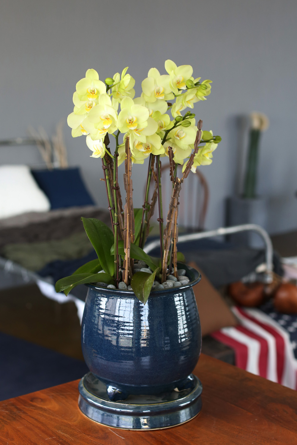  Ƹٿ ϼ  - ޽ ׸ȣ ׸  ɹ