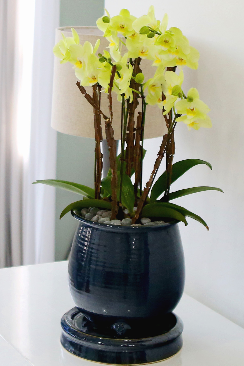  Ƹٿ ϼ  - ޽ ׸ȣ ׸  ɹ