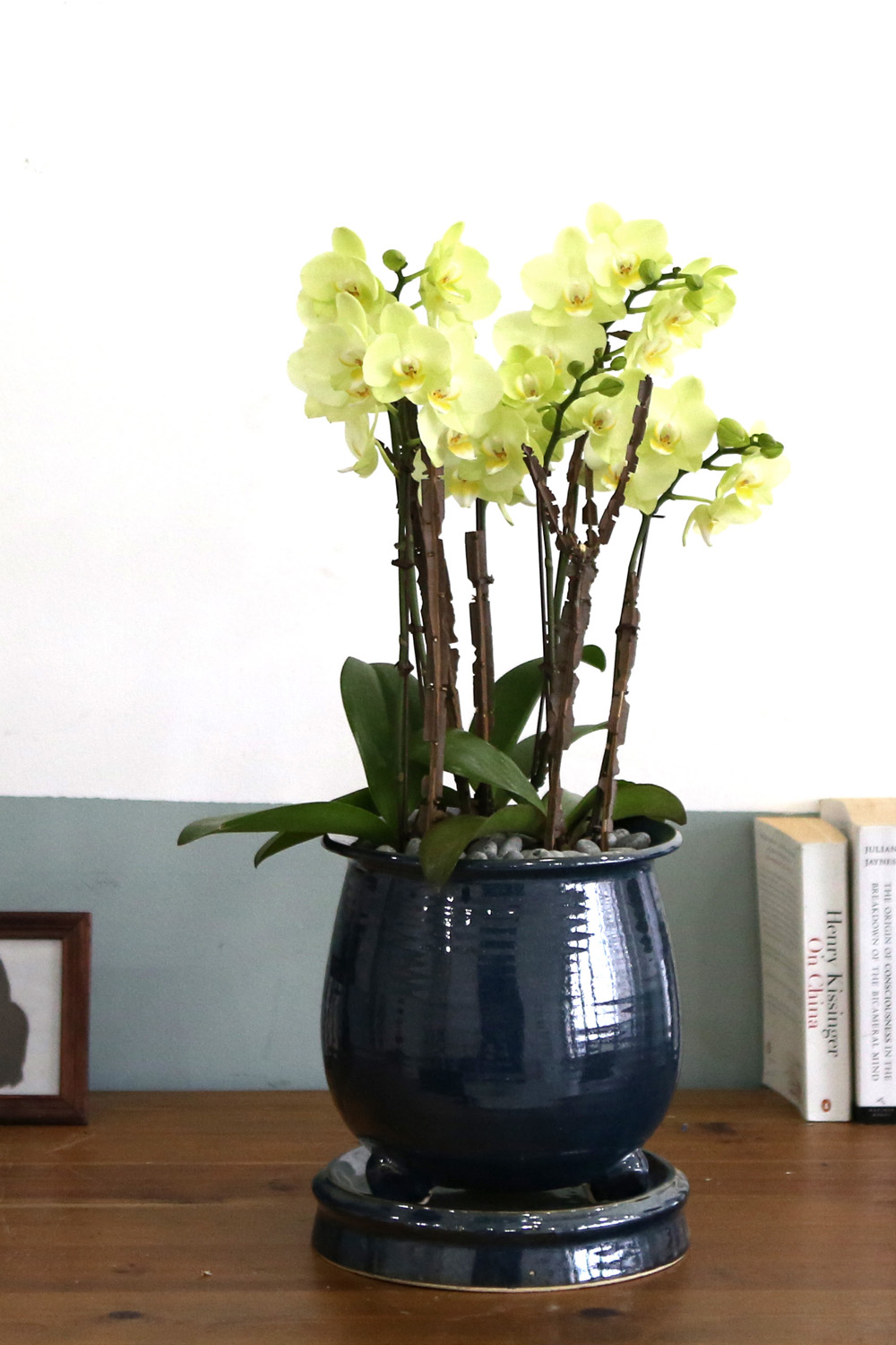  Ƹٿ ϼ  - ޽ ׸ȣ ׸  ɹ