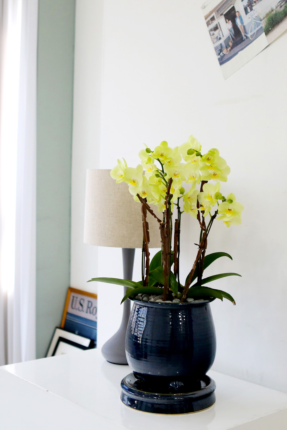  Ƹٿ ϼ  - ޽ ׸ȣ ׸  ɹ