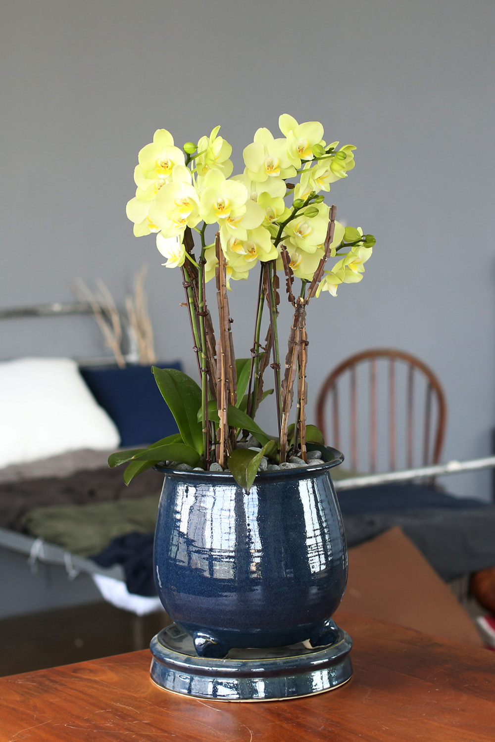  Ƹٿ ϼ  - ޽ ׸ȣ ׸  ɹ