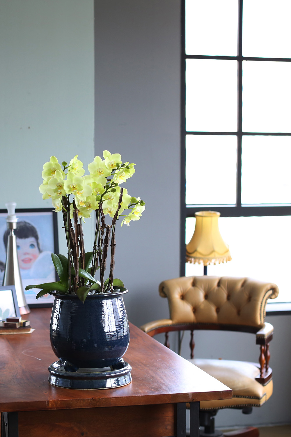  Ƹٿ ϼ  - ޽ ׸ȣ ׸  ɹ