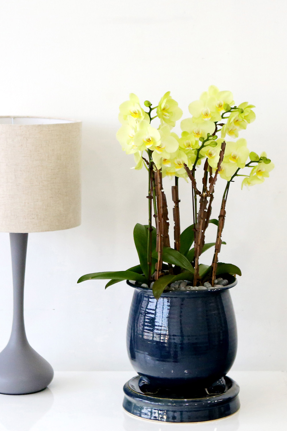  Ƹٿ ϼ  - ޽ ׸ȣ ׸  ɹ