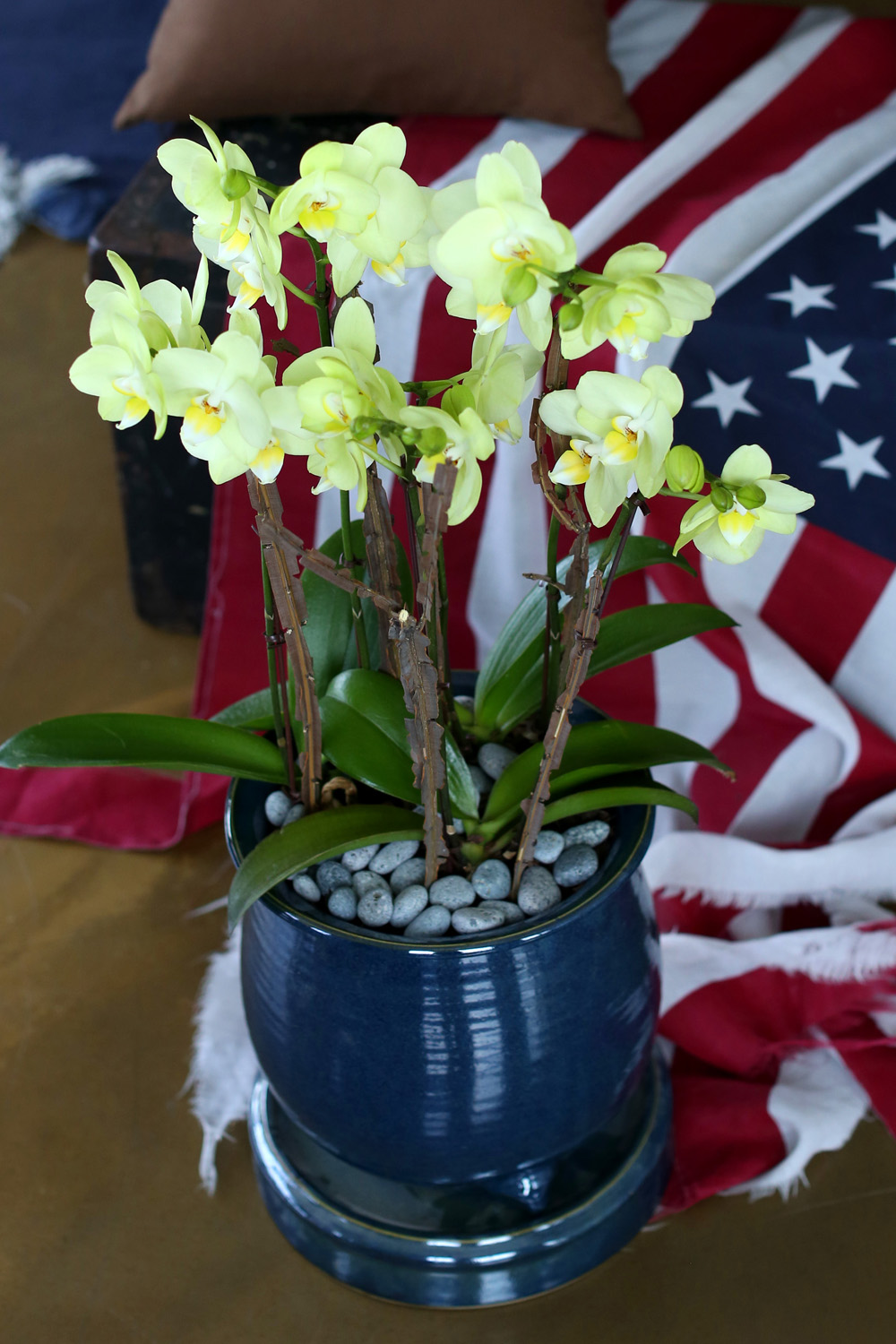  Ƹٿ ϼ  - ޽ ׸ȣ ׸  ɹ