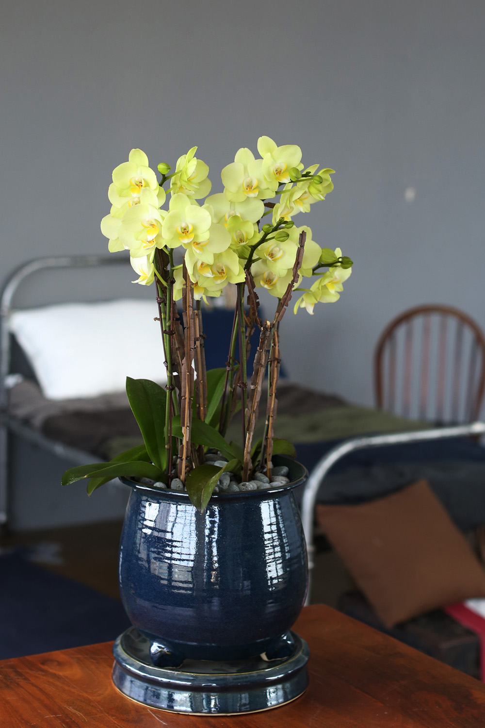  Ƹٿ ϼ  - ޽ ׸ȣ ׸  ɹ