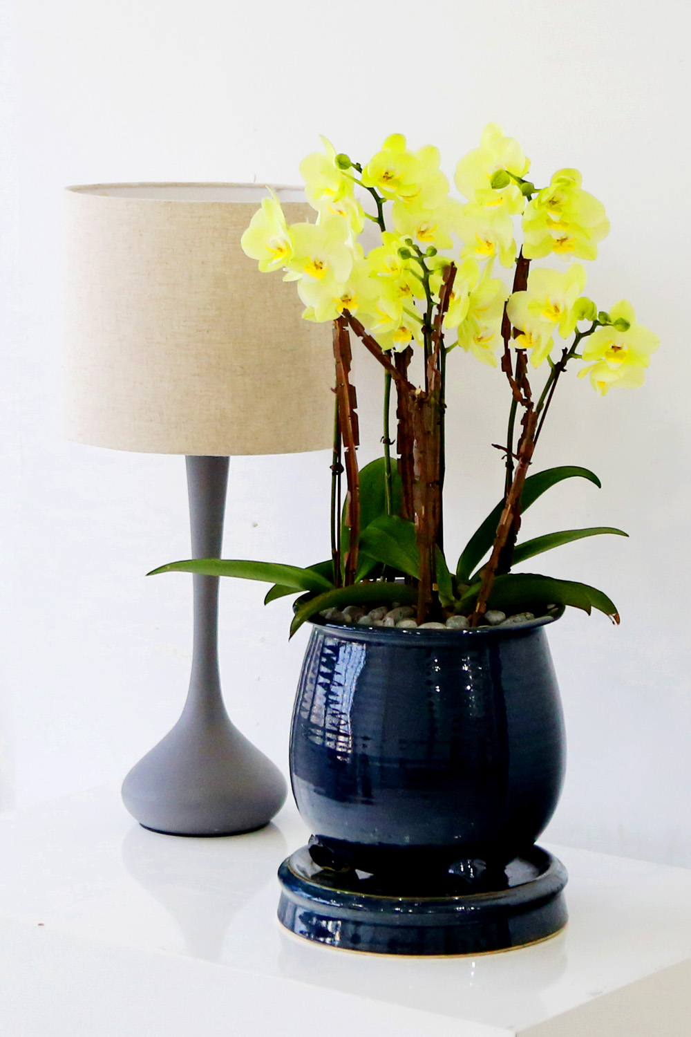  Ƹٿ ϼ  - ޽ ׸ȣ ׸  ɹ