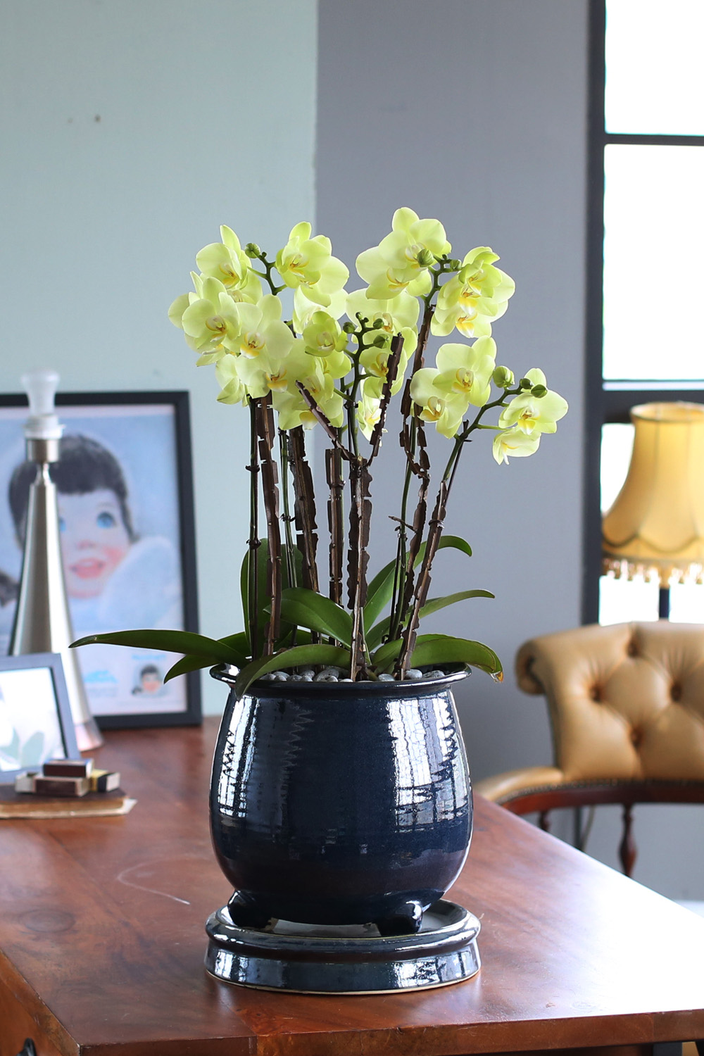  Ƹٿ ϼ  - ޽ ׸ȣ ׸  ɹ