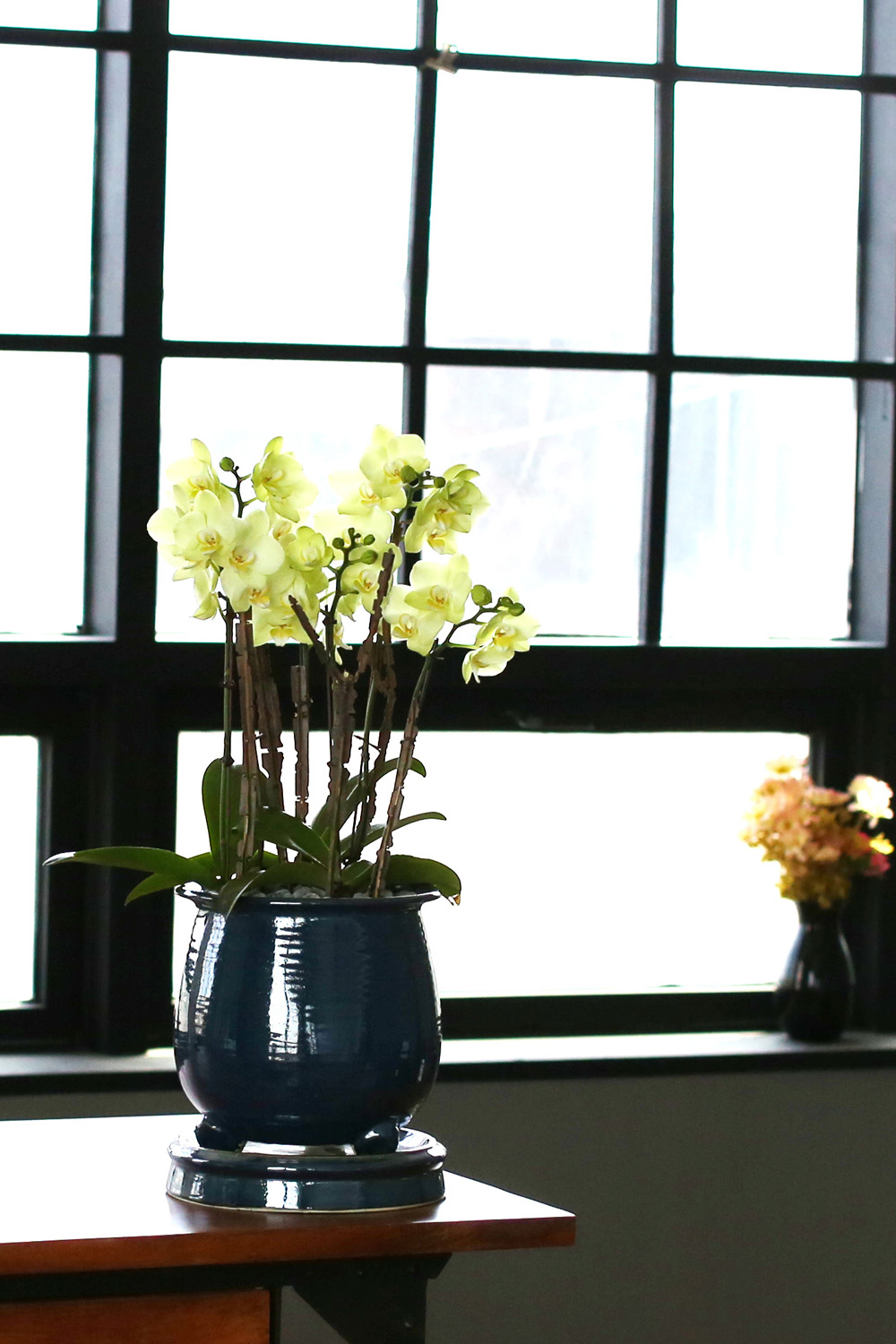  Ƹٿ ϼ  - ޽ ׸ȣ ׸  ɹ