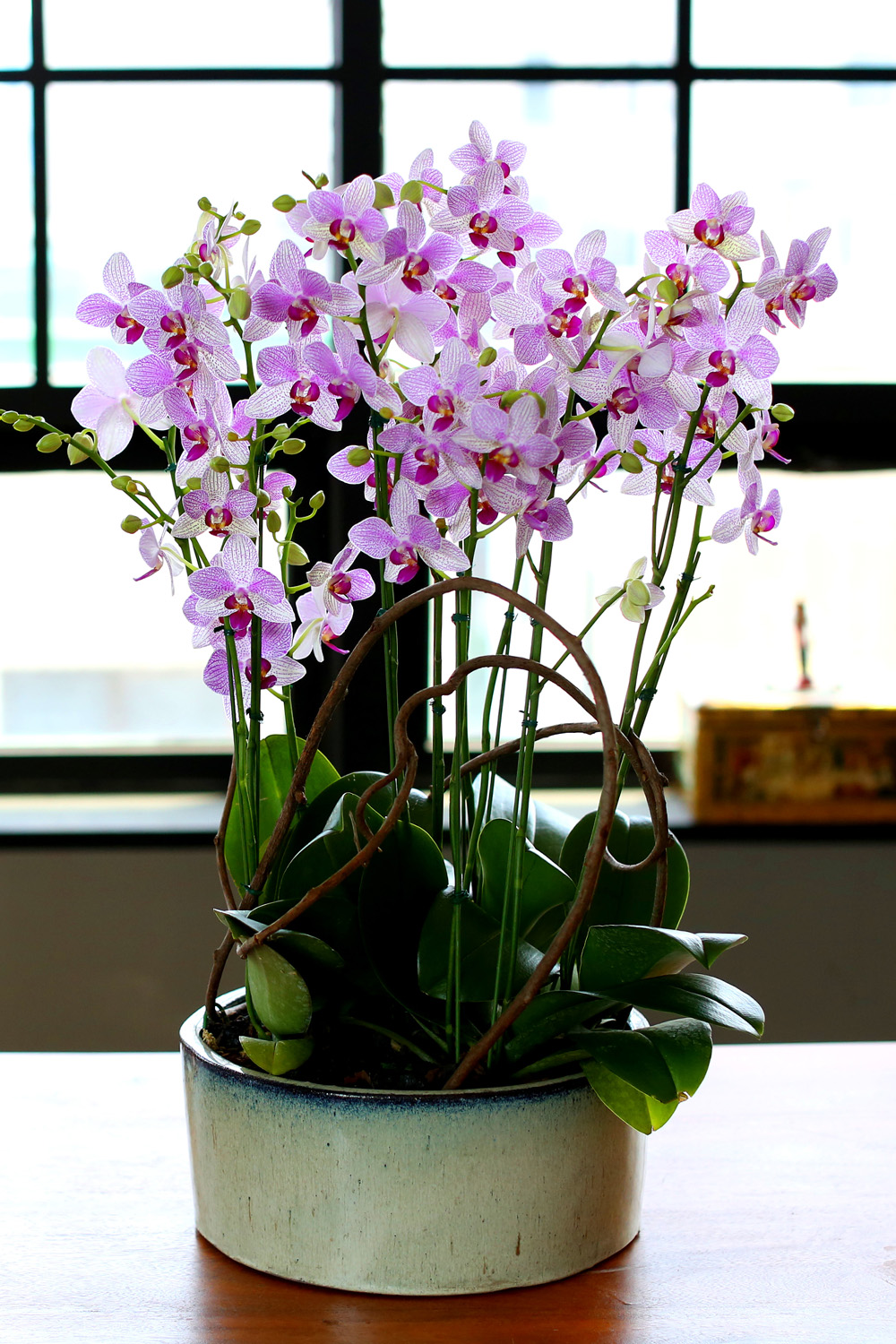  Ƹٿ ϼ  -  ڽ ٸִ ȭ ȣ ûǳ  ɹ