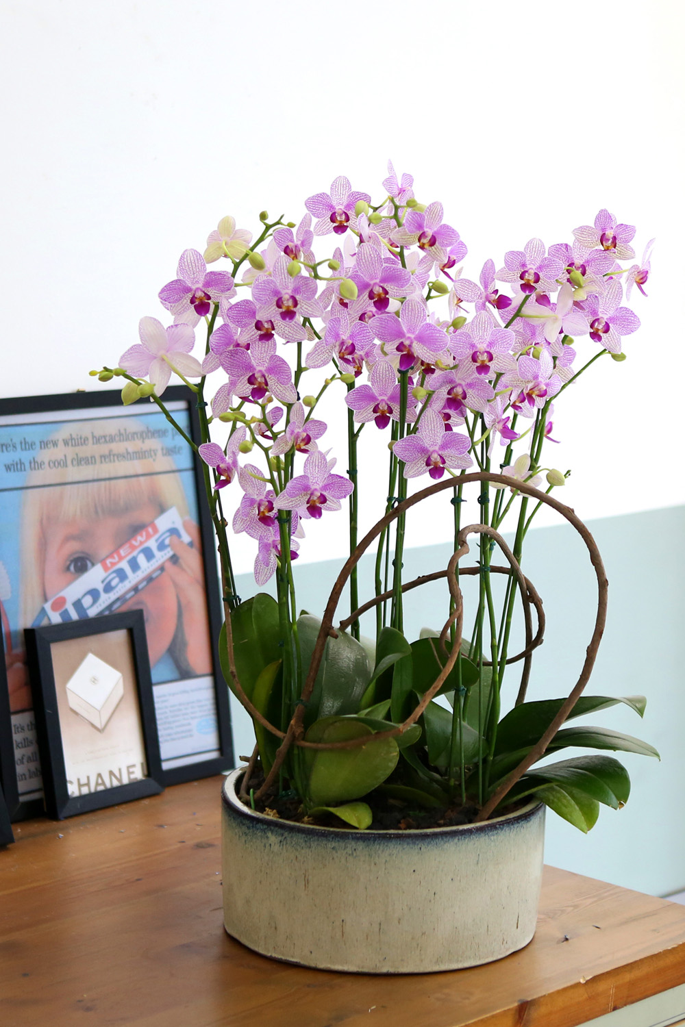  Ƹٿ ϼ  -  ڽ ٸִ ȭ ȣ ûǳ  ɹ