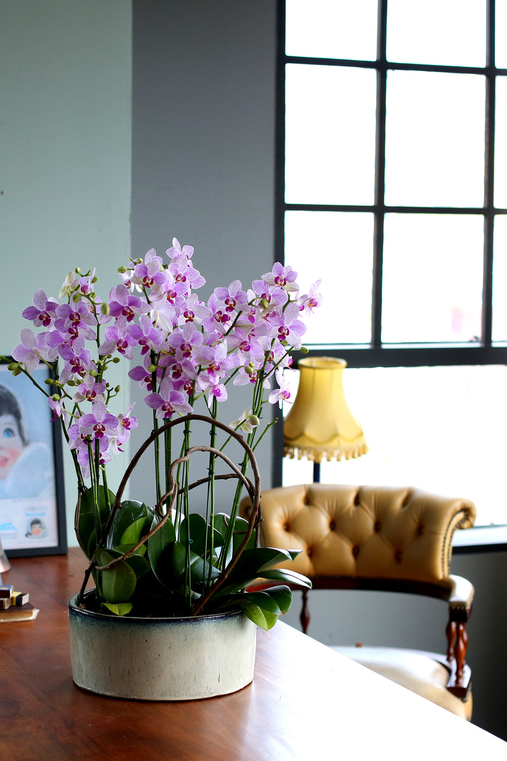  Ƹٿ ϼ  -  ڽ ٸִ ȭ ȣ ûǳ  ɹ