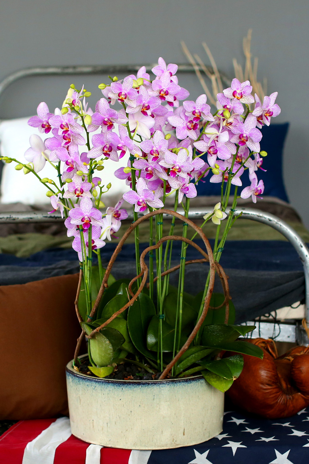  Ƹٿ ϼ  -  ڽ ٸִ ȭ ȣ ûǳ  ɹ