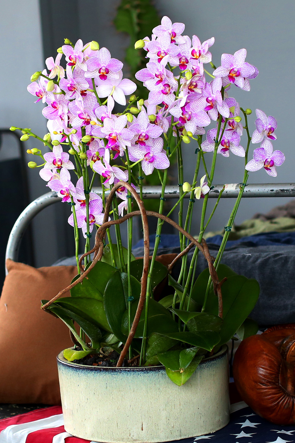  Ƹٿ ϼ  -  ڽ ٸִ ȭ ȣ ûǳ  ɹ