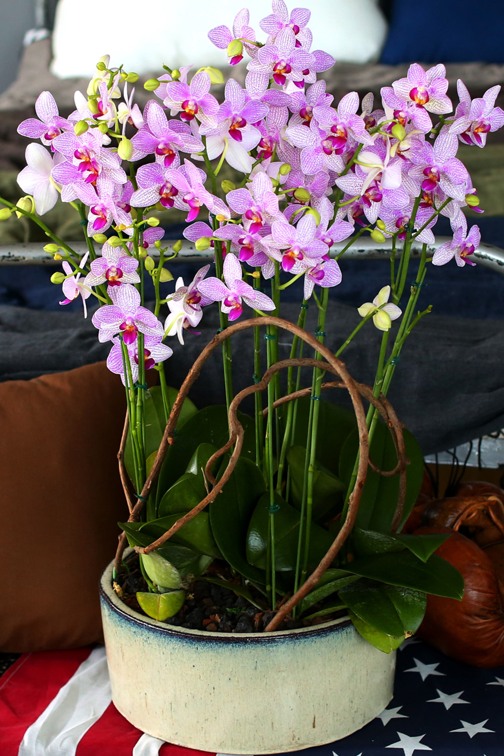  Ƹٿ ϼ  -  ڽ ٸִ ȭ ȣ ûǳ  ɹ