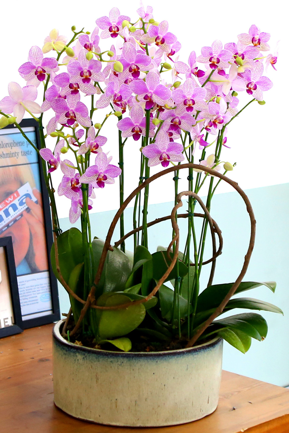  Ƹٿ ϼ  -  ڽ ٸִ ȭ ȣ ûǳ  ɹ