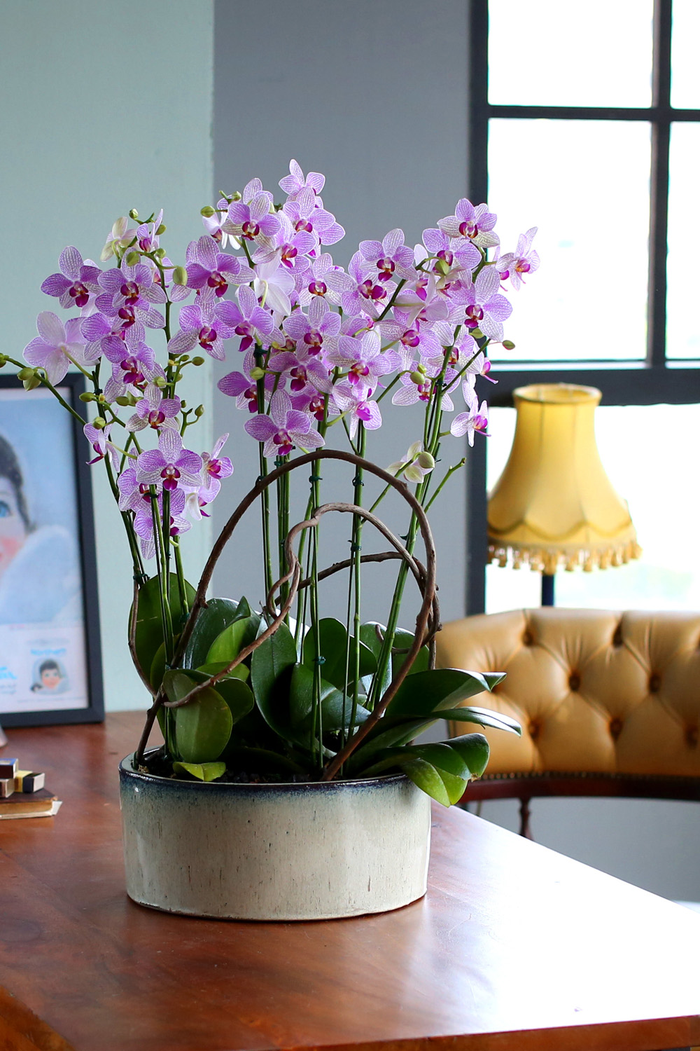  Ƹٿ ϼ  -  ڽ ٸִ ȭ ȣ ûǳ  ɹ