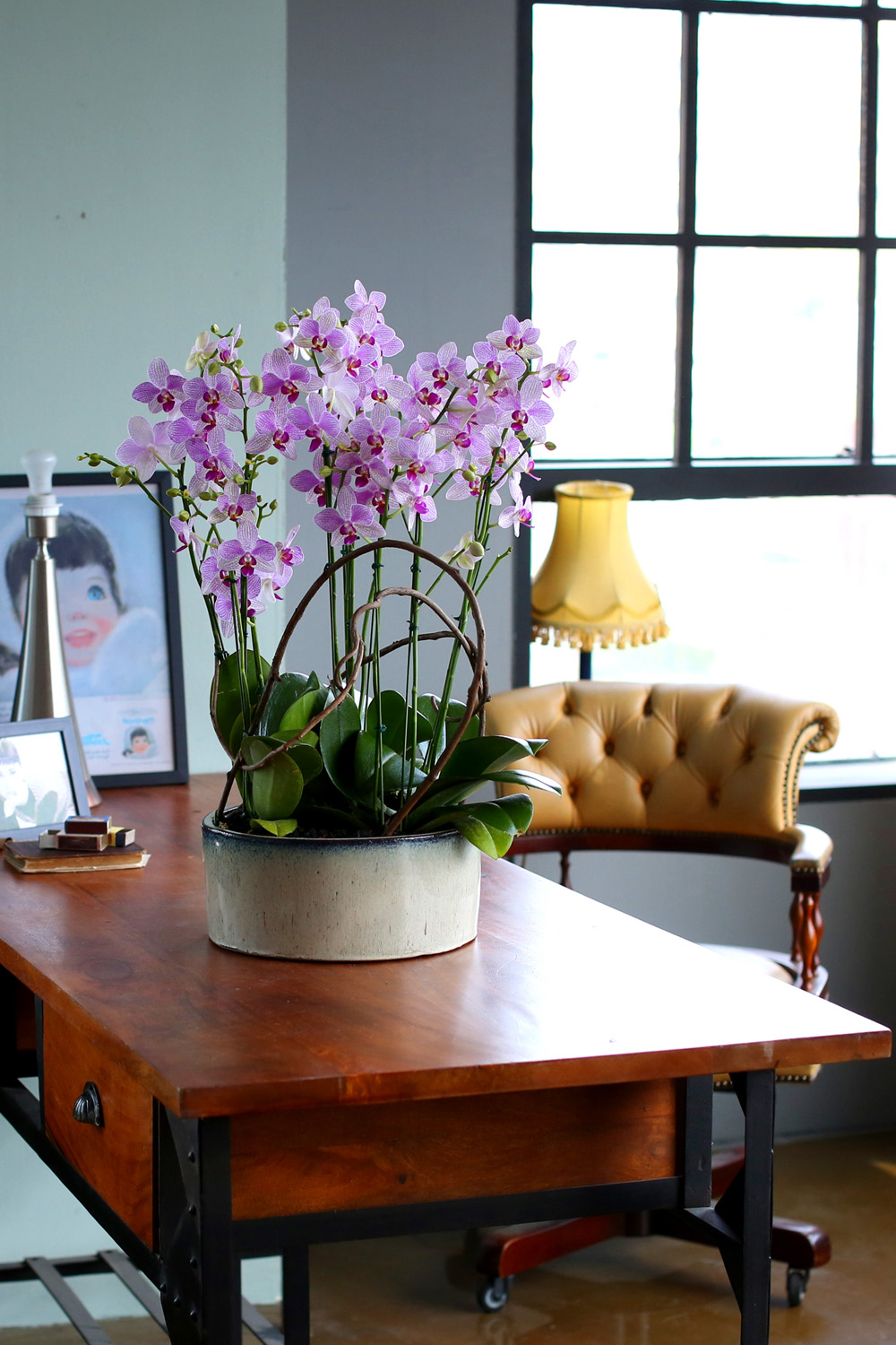  Ƹٿ ϼ  -  ڽ ٸִ ȭ ȣ ûǳ  ɹ