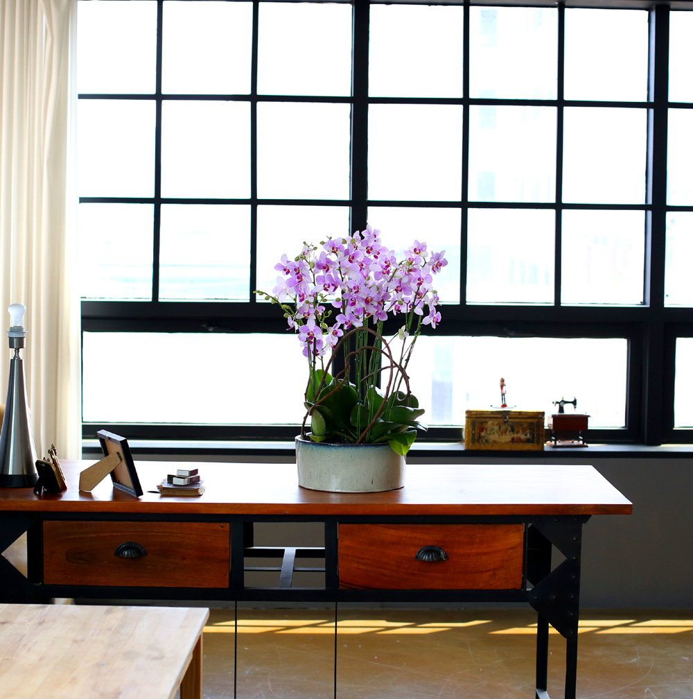  Ƹٿ ϼ  -  ڽ ٸִ ȭ ȣ ûǳ  ɹ