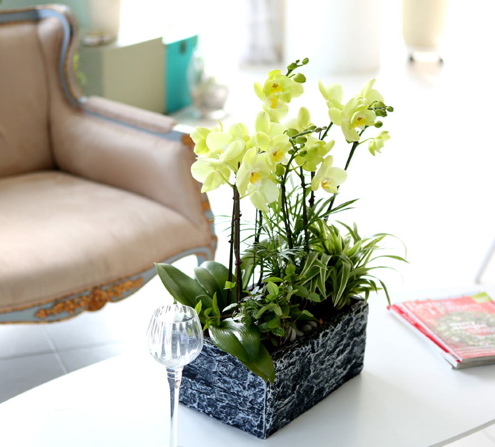 [ ȣ] ׸ () (ȭǰ)  ɹ