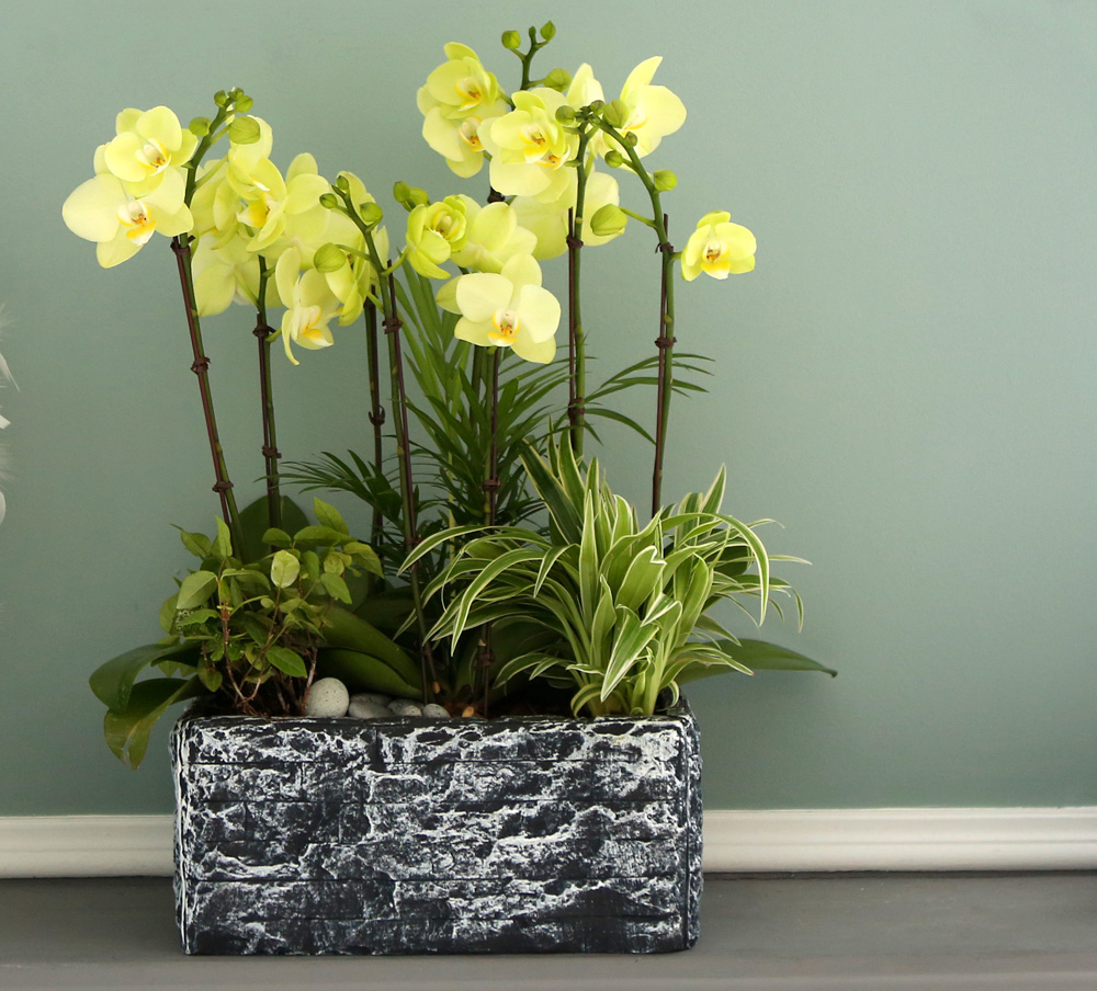 [ ȣ] ׸ () (ȭǰ)  ɹ