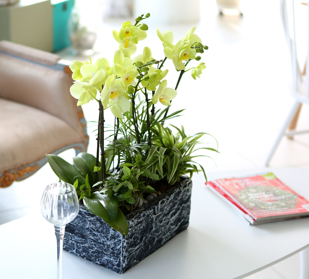 [ ȣ] ׸ () (ȭǰ)  ɹ