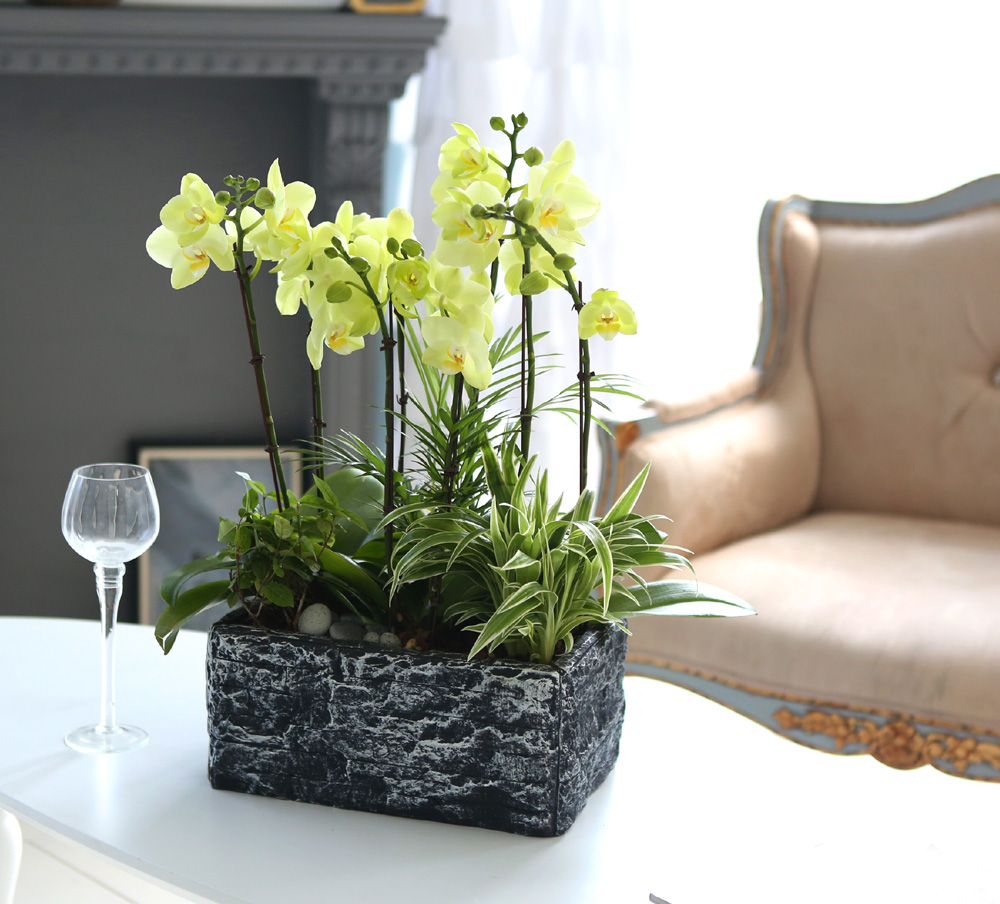 [ ȣ] ׸ () (ȭǰ)  ɹ