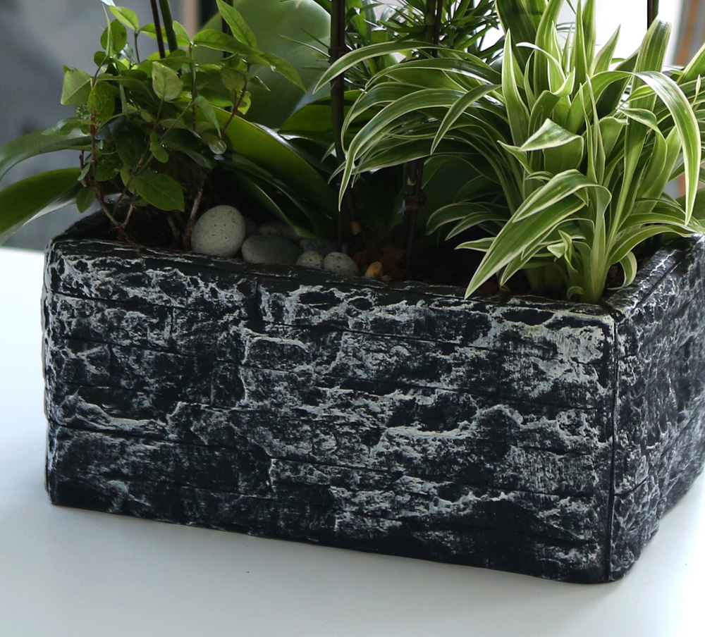 [ ȣ] ׸ () (ȭǰ)  ɹ